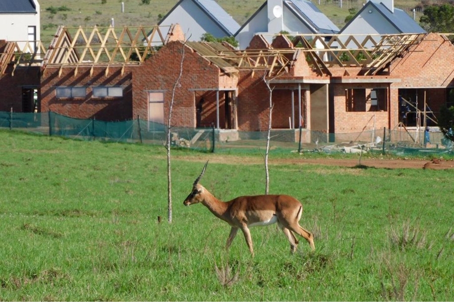 0 Bedroom Property for Sale in Kabeljauws Eastern Cape